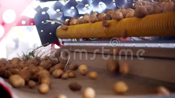 特写土豆在专用传送带上移动马铃薯收获作物视频的预览图