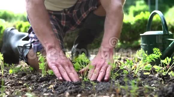 在地上种植树苗的人的特写视频的预览图