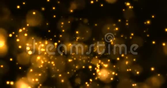 金色的圣诞数字闪光闪耀着金色的粒子聚焦在金色的背景上节日快乐的新事物视频的预览图