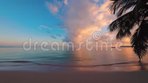 日出覆盖热带海滩和棕榈树早上在异国情调的加勒比海岛视频的预览图