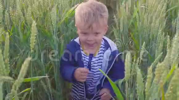阳光明媚的一天快乐的小男孩带着小麦在田野上奔跑小农场主的概念视频的预览图
