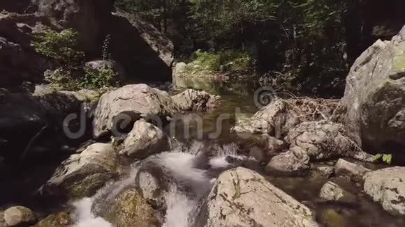 4k空中的石质水流穿过绿色的夏季山林视频的预览图