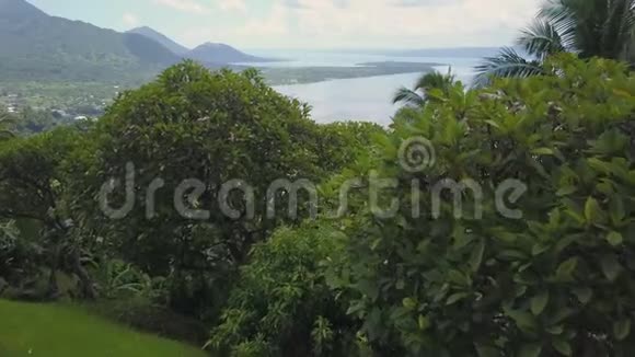 树木和有海洋的房子视频的预览图
