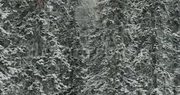空气冬季森林冬天在山上视频的预览图