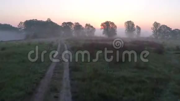 黎明时分在雾蒙蒙的草地上飞翔视频的预览图