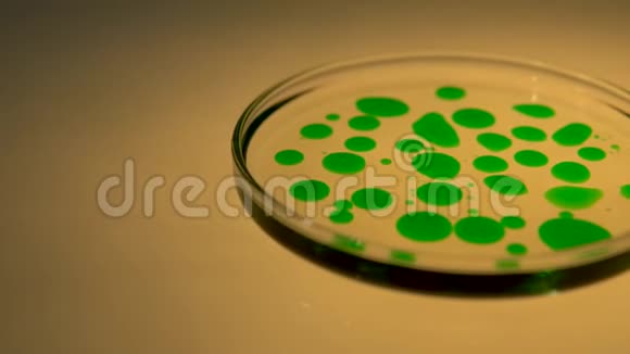 化学实验室细菌培养皿视频的预览图
