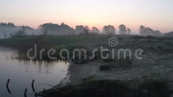 黎明时分在雾蒙蒙的草地上飞翔视频的预览图