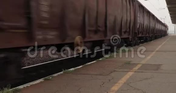 货运火车货车视频的预览图