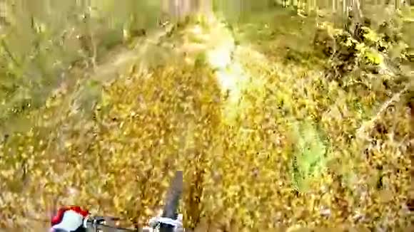 秋天在森林里骑自行车视频的预览图