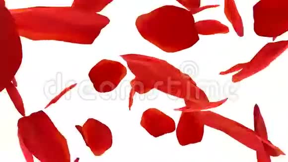玫瑰花瓣心脏带有阿尔法通道视频的预览图