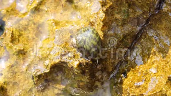 爱琴海和海滨岩石和蜗牛在塔索斯岛移动视频的预览图