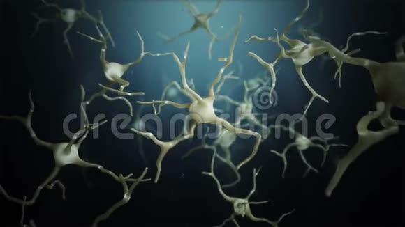 环神经元细胞连接世界视频的预览图