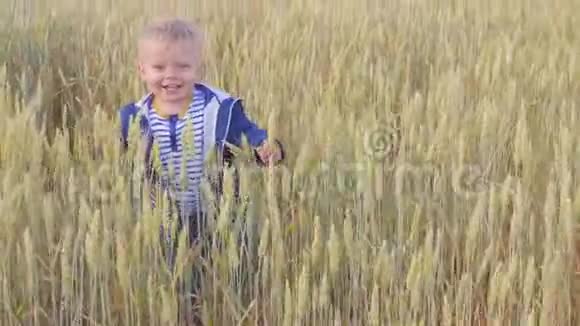阳光明媚的一天快乐的小男孩带着小麦在田野上奔跑小农场主的概念视频的预览图