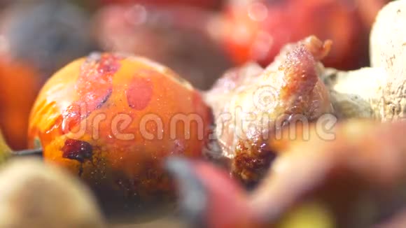番茄和猪肉肉是用串串烤的视频的预览图
