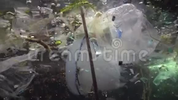 塑料垃圾等杂物漂浮在水下海洋污染水中的塑料碎片杀死野生动物视频的预览图