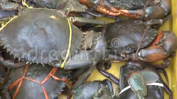 塑料盒子里的活螃蟹印度海鲜市场视频的预览图