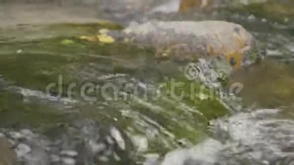 水溅在河里河水里的水充满了气泡水泡浮在河面特写镜头上视频的预览图