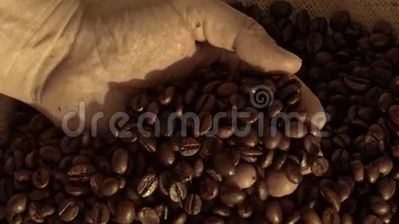 新鲜的烤咖啡豆从杯状的手中倒入一个麻袋视频的预览图