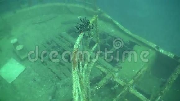 海底沉船视频的预览图