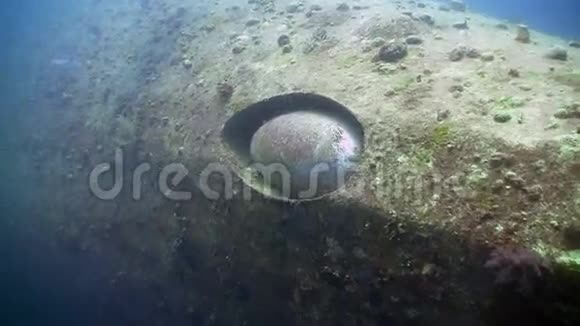 海底沉船视频的预览图