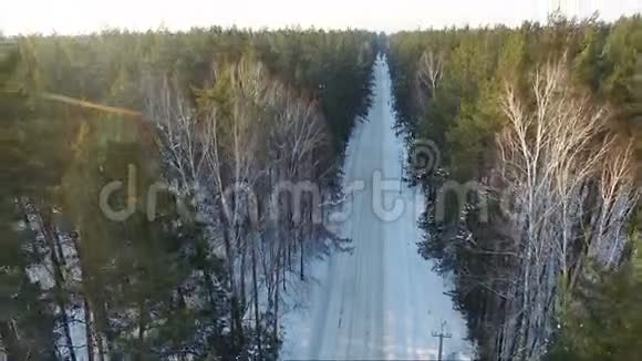 飞过林道冬天视频的预览图
