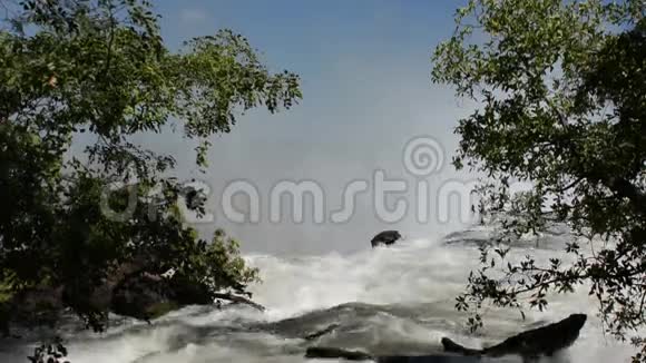 维多利亚瀑布视频的预览图