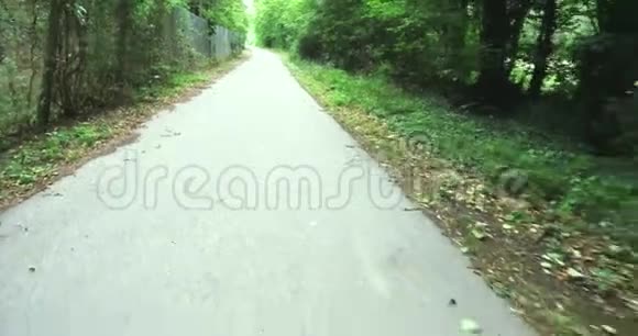 绿树之间的道路德国村庄的绿树城市的绿地美丽的自然背景和壁纸视频的预览图