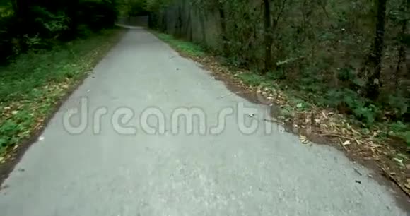 德国村庄绿树之间的道路绿树成荫城市绿地美丽的自然背景和壁纸视频的预览图