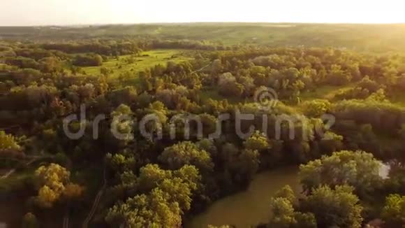 空中影像景观自然树和河流穿越视频的预览图