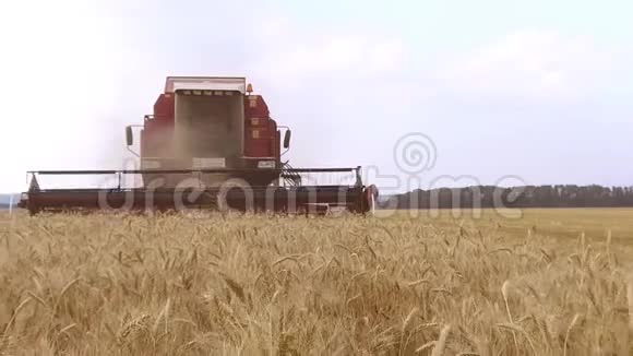 联合收割机小麦收割机小麦正在收割收获小麦面包农业稳定射击视频的预览图
