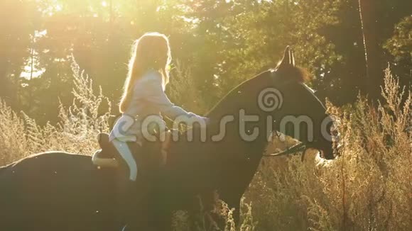 一位美丽自然的年轻姑娘在户外骑着马视频的预览图