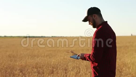 在农业中使用现代技术的智能农业农学家农民手持数码平板电脑视频的预览图