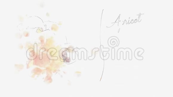 杏子动画卡片及其有用属性列表视频的预览图