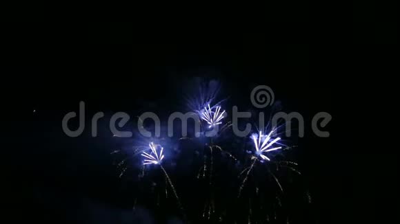 夜空中五彩的节日烟火视频的预览图