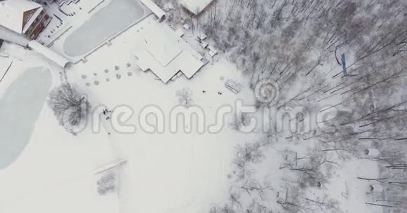 飞过白雪覆盖的森林视频的预览图