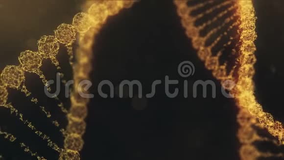 两个旋转的神经丛DNA链脉冲通过橙色版本视频的预览图