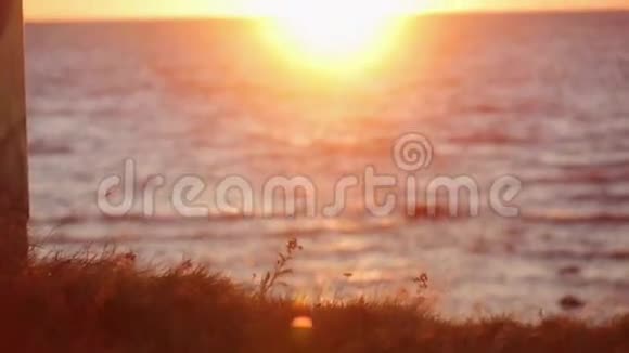 山上的草从风中摇动背景上美丽的海上日落不是人视频的预览图