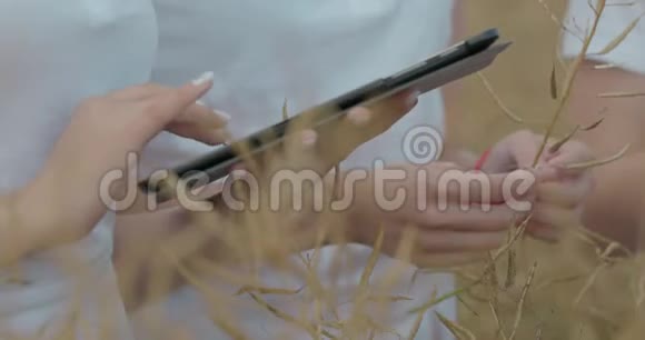从事农业技术领域工作的科学家在麦秆上靠近女性手触摸平板电脑视频的预览图
