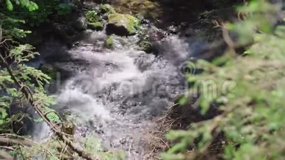 山涧的景色视频的预览图