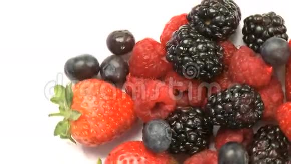 蓝莓草莓黑莓视频的预览图