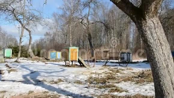 三月的农村花园有蜂巢和雪视频的预览图