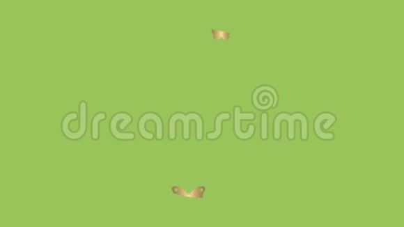 绿背上的金蝶视频的预览图