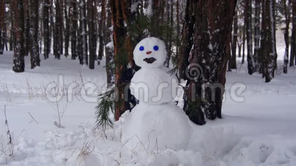 松林中的雪人站在户外视频的预览图