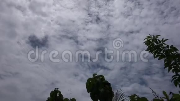 蒂科马斯坦和云的分支视频的预览图