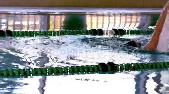 适合女性游泳运动员在游泳池中做背部中风视频的预览图