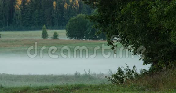 晨雾在田野上的时间流逝视频的预览图