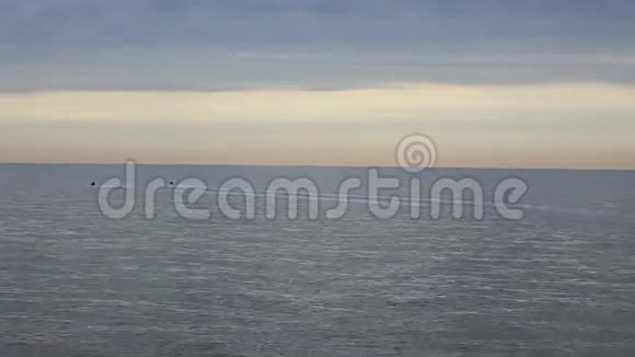 比利时北海之浪围捕视频的预览图