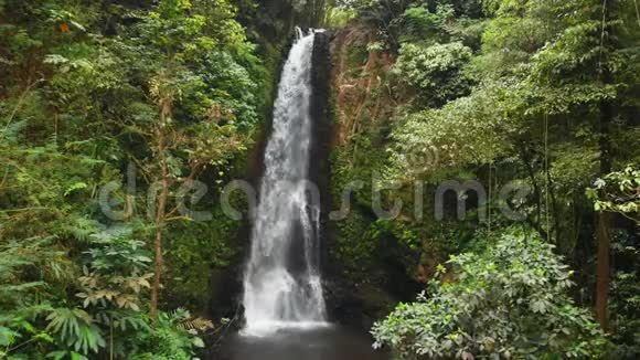 印度尼西亚巴厘岛的瀑布和丛林大瀑布的鸟瞰图视频的预览图