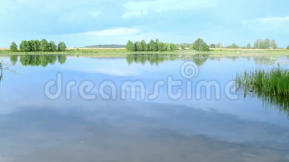 明亮的景观夏日清晨水面上有蓝色的水和绿色的植被视频的预览图