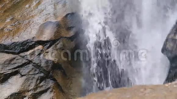 热带森林的瀑布视频的预览图